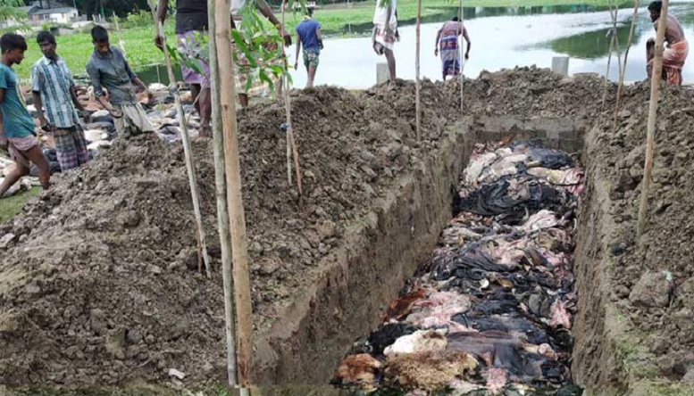 একসাথে ৯০০ চামড়া পুঁতে ফেললেন তারা