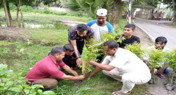 ফরিদগঞ্জে বিবেকবন্ধন আদর্শ সংঘের গাছের চারা রোপণ