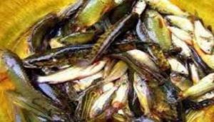 মৎস্য খাতে উৎপাদন বৃদ্ধি : খাদ্যনিরাপত্তা ও রপ্তানি সম্ভাবনার নতুন দিগন্ত