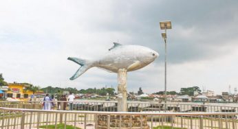 বরগুনা কি ইলিশ জেলা? নাকি ইলিশের বাড়ি চাঁদপুর