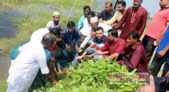 বজ্রপাত থেকে বাঁচতে কচুয়া উপজেলা চেয়ারম্যান তালবীজ রোপণ