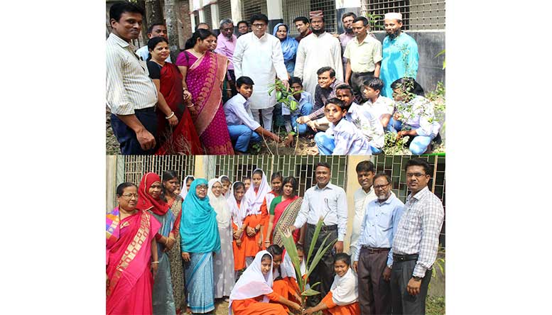 বঙ্গবন্ধুর জন্মশতবার্ষিকীতে চাঁদপুরে বিভিন্ন বিদ্যালয়ে বৃক্ষরোপণ