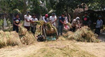 কচুয়ায় কৃষকের পাকা ধান কেটে দিলো‘হ্যালো ছাত্রলীগ’