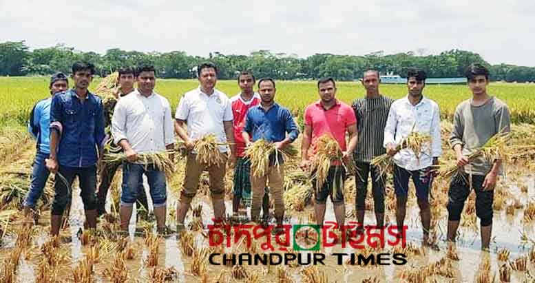 ধান কেটে দিলো ছাত্রলীগ