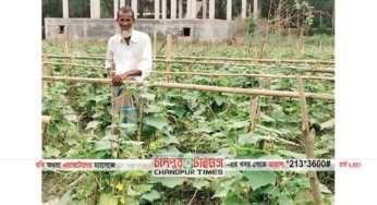 হাজীগঞ্জে করোনার মাঝে সবজি চাষে অবদান রাখছে কৃষক মনির