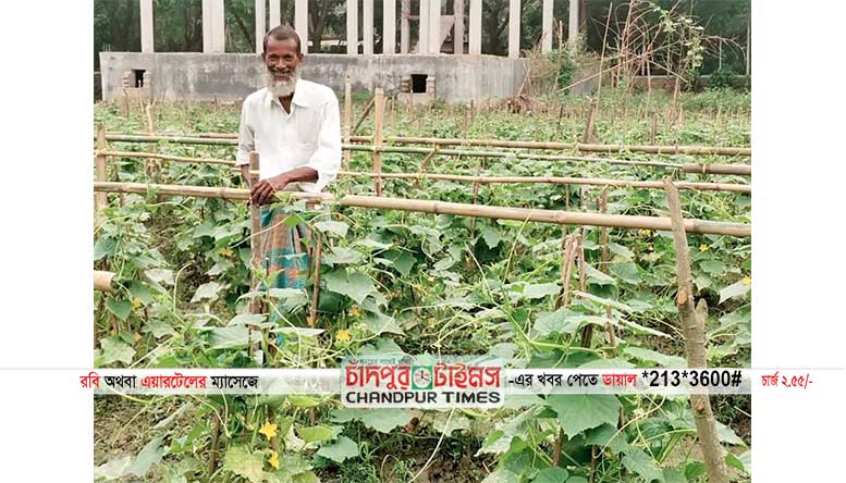 হাজীগঞ্জে করোনার মাঝে সবজি চাষে অবদান রাখছে কৃষক মনির