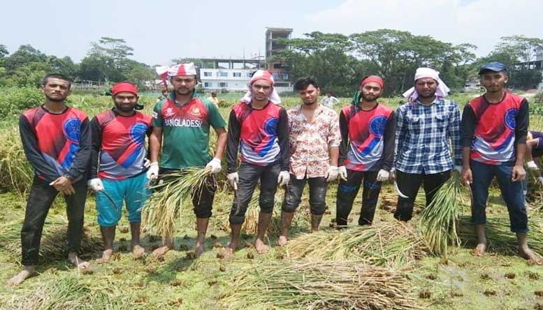 কৃষকের পাশে চাঁদপুর সরকারি কলেজ ছাত্রলীগ