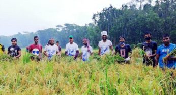 ফরিদগঞ্জে কৃষকের পাশে যুবলীগ ও ছাত্রলীগ