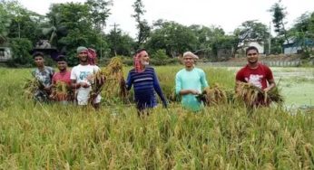 ফরিদগঞ্জ ও শাহরাস্তিতে কৃষকের পাশে ছাত্রলীগ