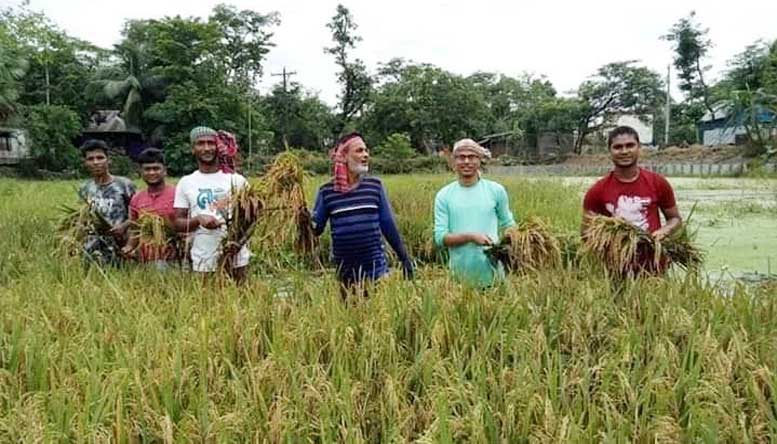 ফরিদগঞ্জ ও শাহরাস্তিতে কৃষকের পাশে ছাত্রলীগ