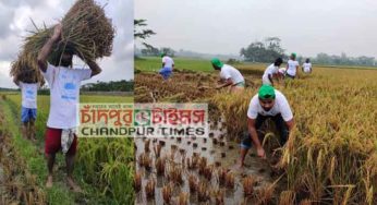 সুজিত রায় নন্দির পক্ষে কৃষকের ধান কেটে দিল চাঁদপুর পৌর ছাত্রলীগ