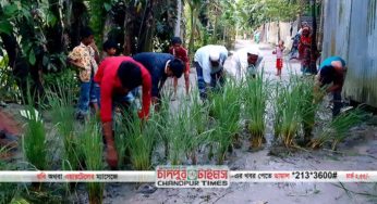 ফরিদগঞ্জে চলাচলের রাস্তায় ধান লাগিয়ে এলাকাবাসীর বিক্ষোভ