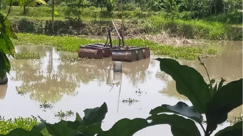 কৃষি জমি থেকে