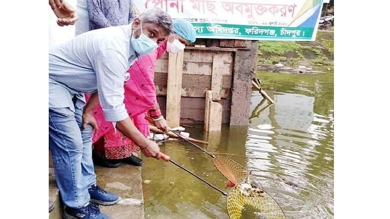 ফরিদগঞ্জে মাছের পোনা অবমুক্তকরণ