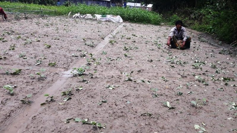 কচুয়ায় ভূমিহীন কৃষকের সঙ্গে এ কেমন শত্রুতা