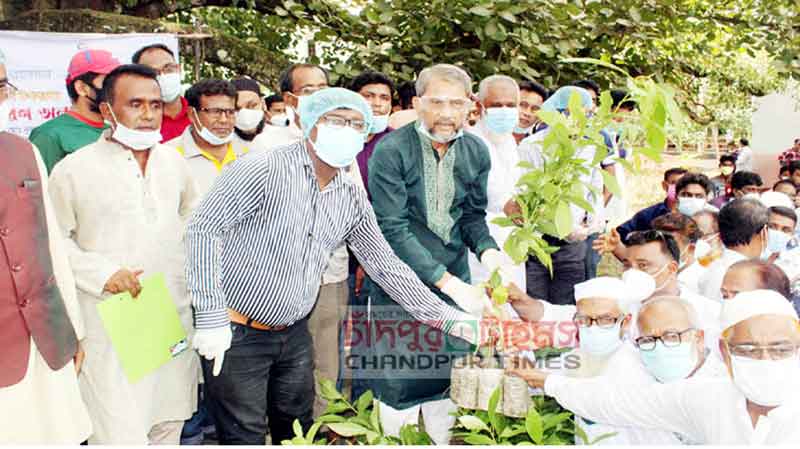 মতলবে এমপি রুহুলের ফলজ বনজ ও ভেষজবৃক্ষ বিতরণ