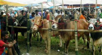 মতলবে পশুর হাট ভেঙে দিলেন ইউএনও