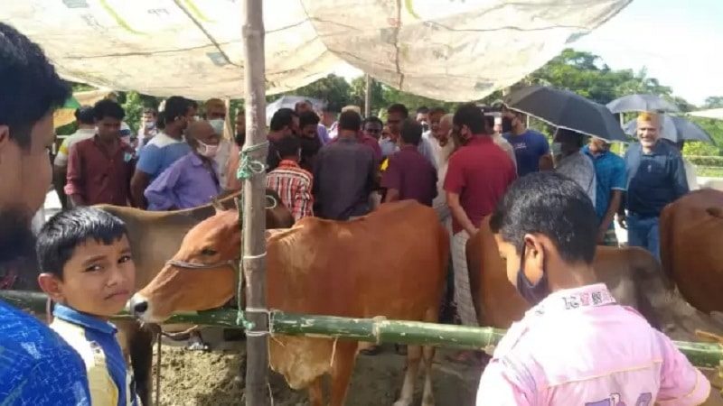 মতলবে পশুর হাটে কেউই মানছে না সামাজিক দূরত্ব