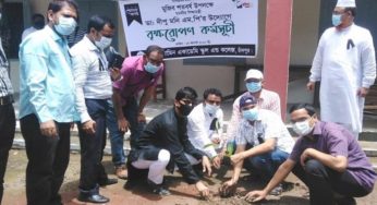 জাতীয় শোক দিবসে আল আমিন একাডেমিতে আলোচনা সভা ও বৃক্ষরোপণ