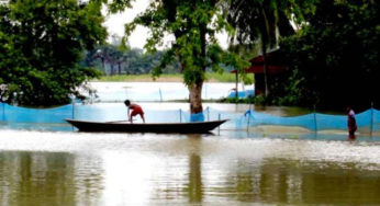 মেঘনা ও ধনাগোদার পানিতে ভেসে গেছে ৯৪ মেট্রিক টন মাছ