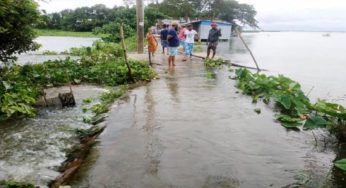 মেঘনায় জোয়ারের পানিতে ভেসে গেছে ৫০০ খামারের মাছ