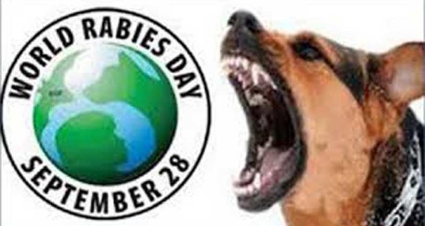 rabies-day-..