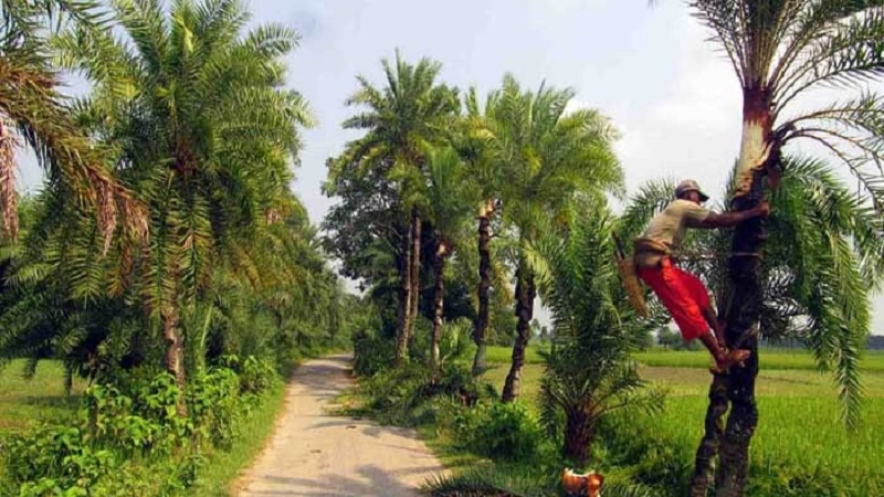 ঋতু পরিবর্তনে সুস্থ থাকতে যে কাজ করবেন