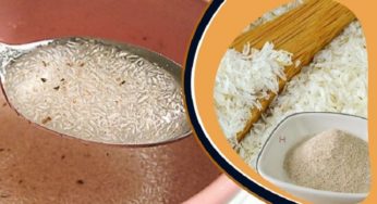 ইসবগুলের ভুসির যেসব উপকারিতা
