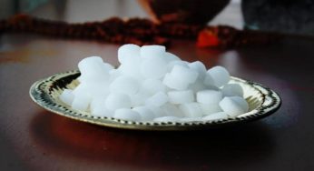 ছারপোকা ও মশা তাড়াতে কর্পূর