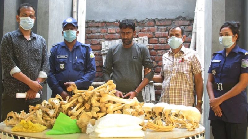 কবর থেকে লাশ চুরি: প্রতিটি কঙ্কাল বিক্রি হয় ২০-৮০ হাজার টাকায়