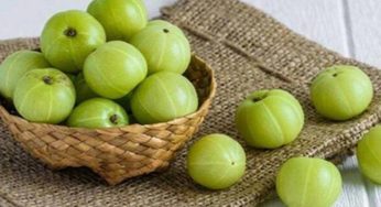 যেসব কারণে আমলকি খাবেন