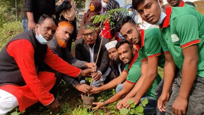 মতলব দক্ষিণে বিজয় দিবসে লাল সবুজ উন্নয়ন সংঘের চারা রোপন