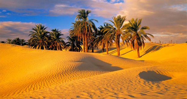 Sahara--desert-..