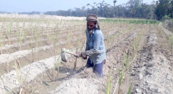 ফরিদগঞ্জে জীবন যুদ্ধে হার না মানা প্রতিবন্ধী কৃষক বিল্লাল