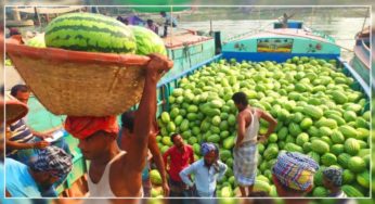 চাঁদপুরে তরমুজ না কেনার ঘোষণা সোশ্যাল মিডিয়ায়