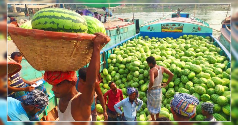 চাঁদপুরে তরমুজের দাম বাড়ানো নিয়ে জেলা প্রশাসকের অসন্তোষ প্রকাশ