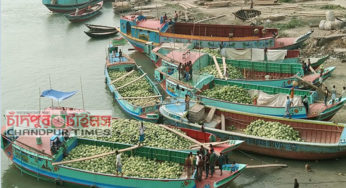 গরমে চাঁদপুরে রসালো ফলের আমদানি