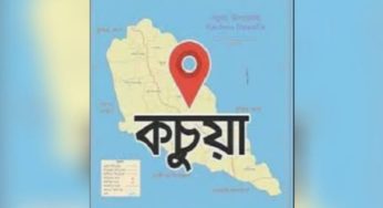 কচুয়ায় গৃহবধূকে মারধর ও হত্যার চেষ্টায় থানায় অভিযোগ