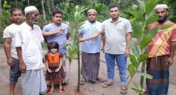 মুনছুর গাজী ফাউন্ডেশনের উদ্যোগে বাগাদীতে বৃক্ষ রোপণ