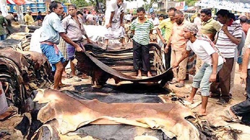 যে শর্তে ৫ প্রতিষ্ঠানকে ওয়েট-ব্লু চামড়া রপ্তানির অনুমতি