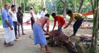 মহামারির মধ্যে আরও একটি ঈদ