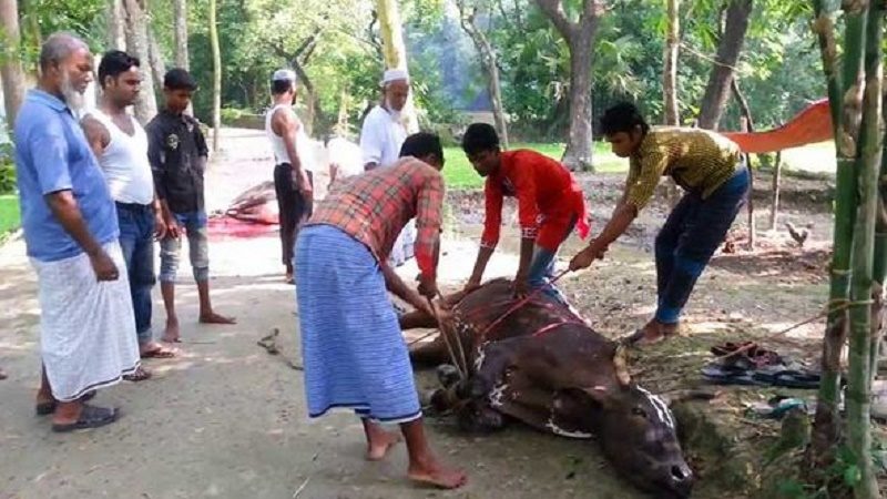 নির্ধারিত সময়ে কুরবানি করতে না পারলে কী করবেন?