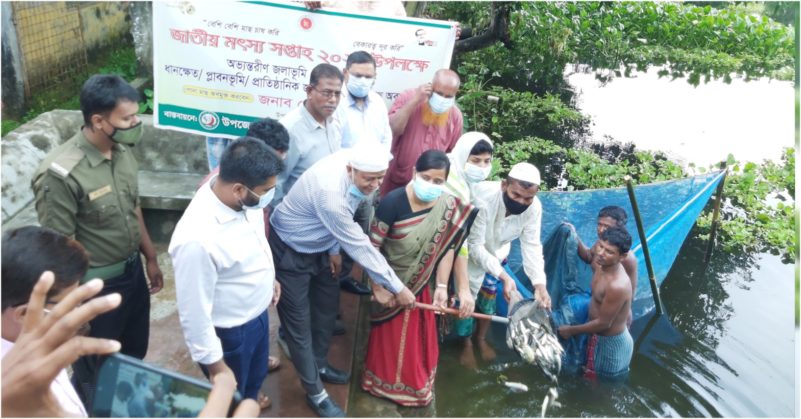 হাজীগঞ্জে উন্মুক্ত জলাশয়ে মাছের পোনা অবমুক্ত