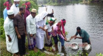 কচুয়ায় মাছের পোনা অবমুক্ত করলেন রফিক উল্লাহ আফসারী