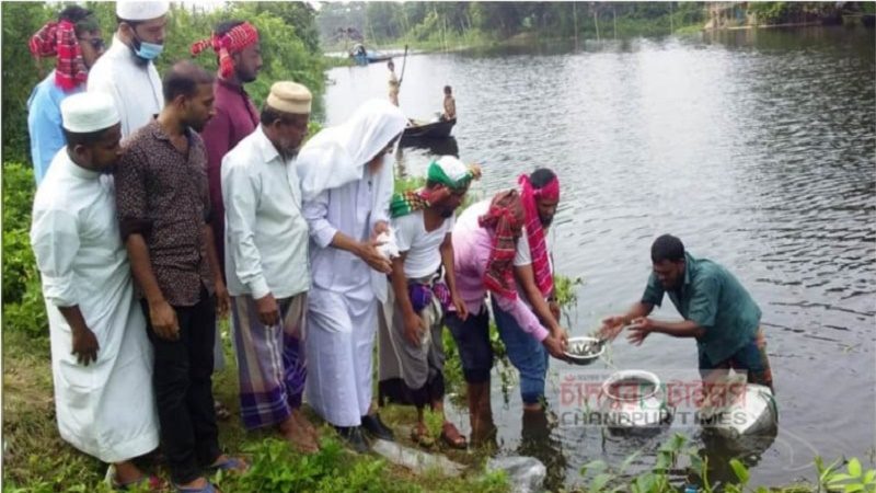 কচুয়ায় মাছের পোনা অবমুক্ত করলেন রফিক উল্লাহ আফসারী