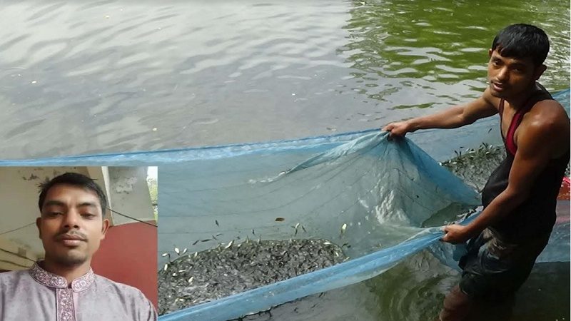 কচুয়ায় রেনু চাষে সফলতার স্বপ্ন দেখছেন তাপস সরকার