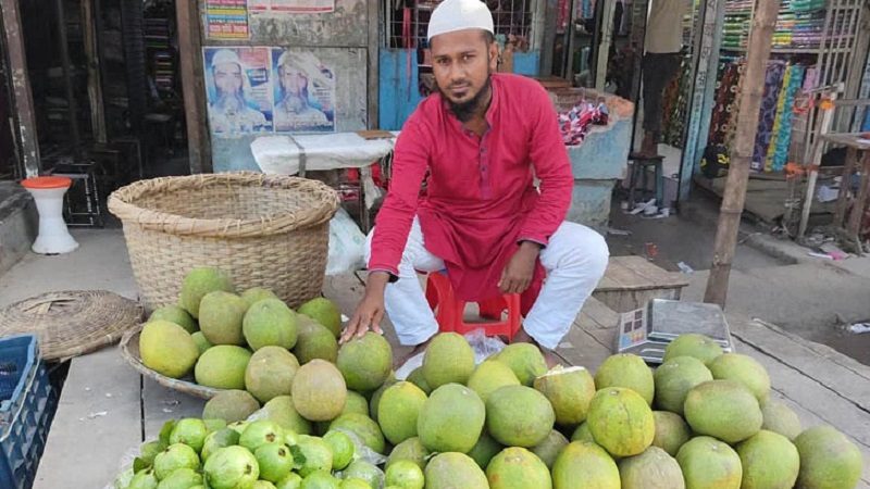 কিন্ডারগার্টেন স্কুলে ভেড়ার খামার, ফল বিক্রি করছেন শিক্ষক