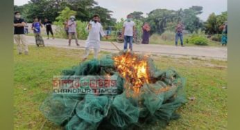 মতলব উত্তরে লক্ষাধিক টাকার অবৈধ চায়না রিং চাই পুড়িয়ে বিনষ্ট