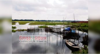 হাজীগঞ্জে নিষিদ্ধ জালের ফাঁদে দেশীয় প্রজাতির মাছ