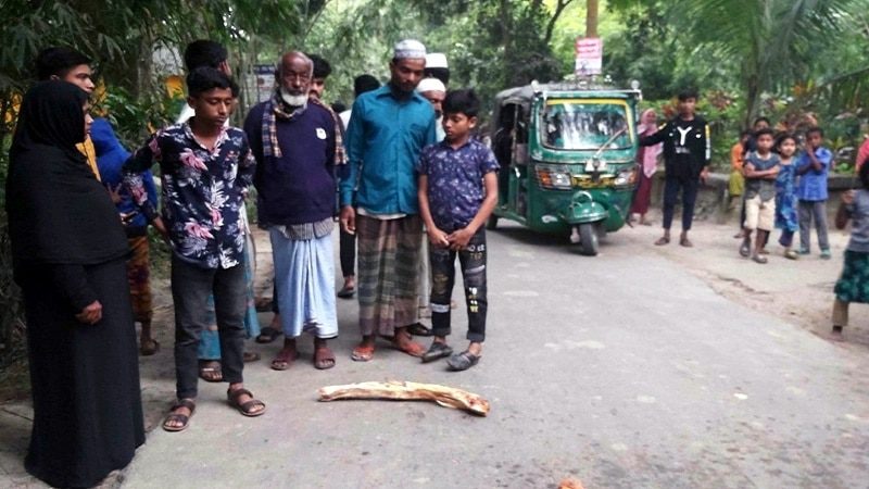 মোবাইলে মগ্ন চালকের অটোবাইক চাপায় মায়ের সামনে শিশুর মৃত্যু